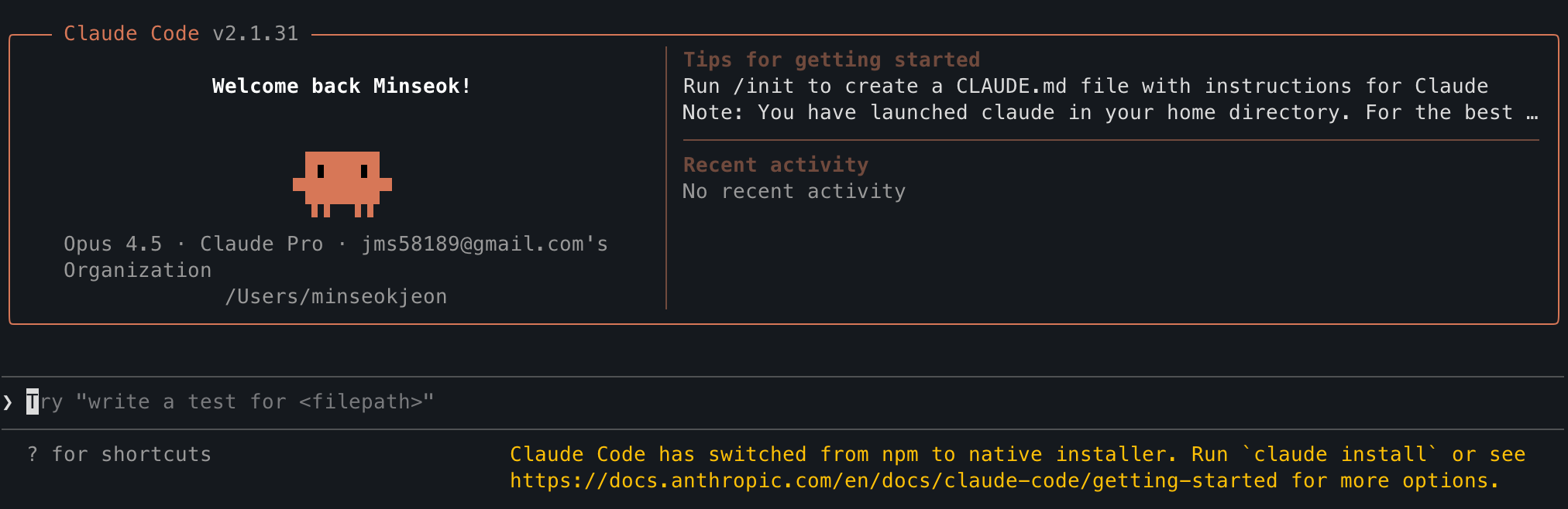 Claude Code terminal interface